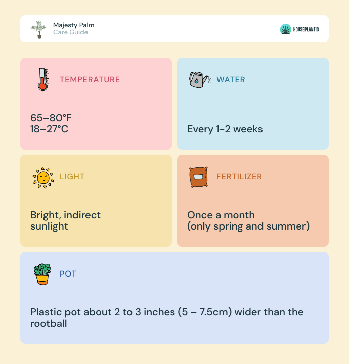 Majesty palm - care, water, sunlight, pot, temperature, fertilizer (infographics)