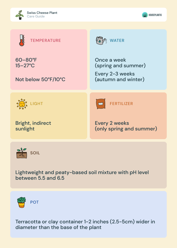 Swiss cheese plant - care, water, light, soil, pot, temperature, fertilizer (infographics)